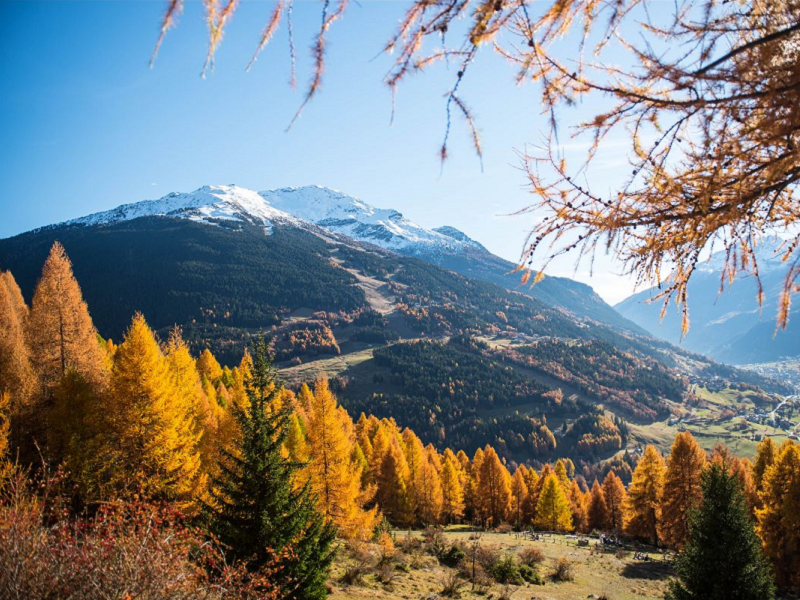 Viaggiare tra i caldi colori dell’autunno